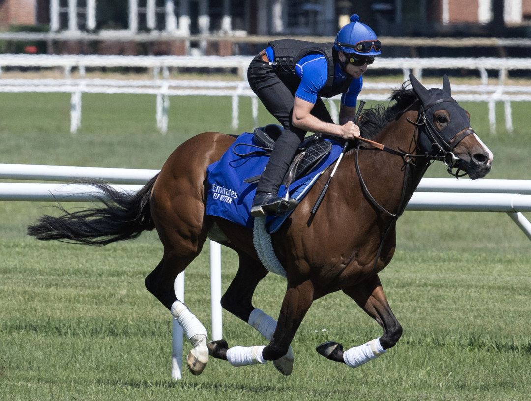 Pegasus World Cup Turf Nations Pride set as morningline favorite